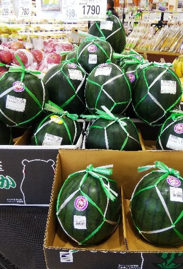 f:id:TuAki:20210526113213j:plain