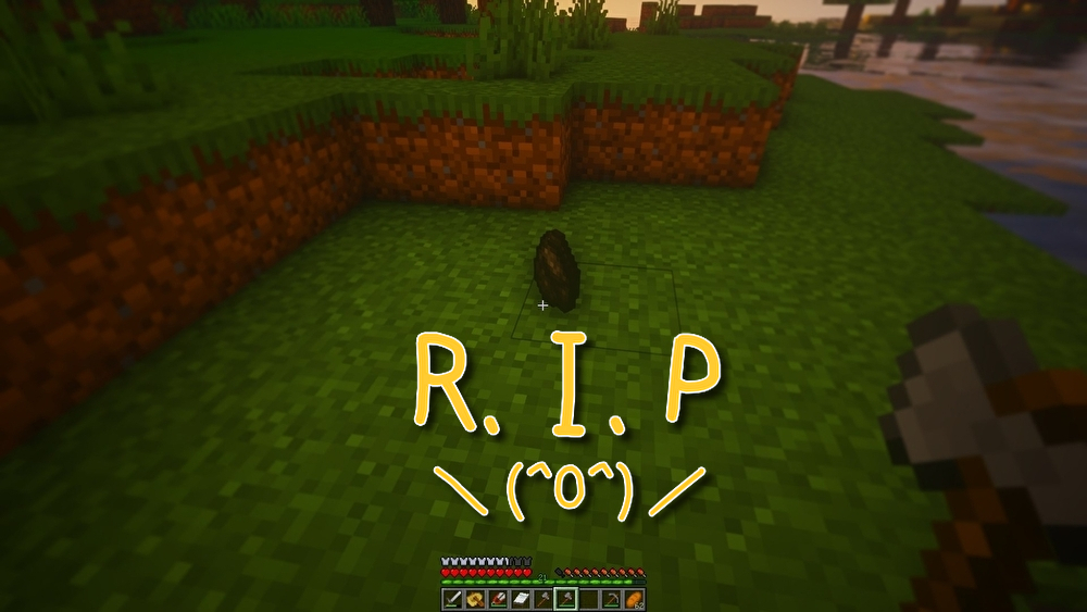 シルバーフィッシュとは 人気 最新記事を集めました はてな