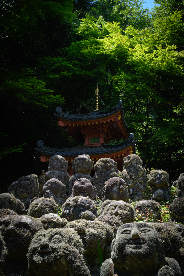 念仏寺 2 Fast Color