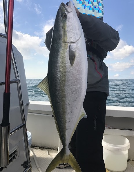 f:id:TypeB:20170109213610j:plain f:id:TypeB:20170109213610j:plain