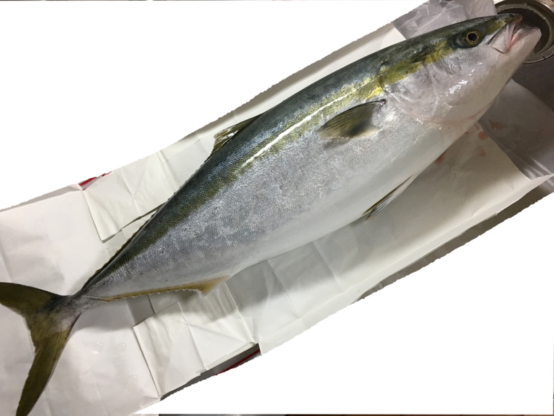 f:id:TypeB:20170109213611j:plain f:id:TypeB:20170109213611j:plain