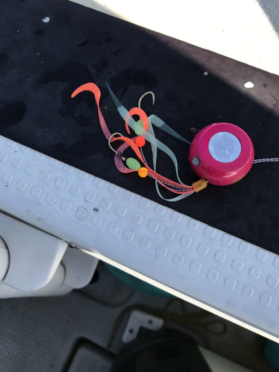 タイラバ タイラバ