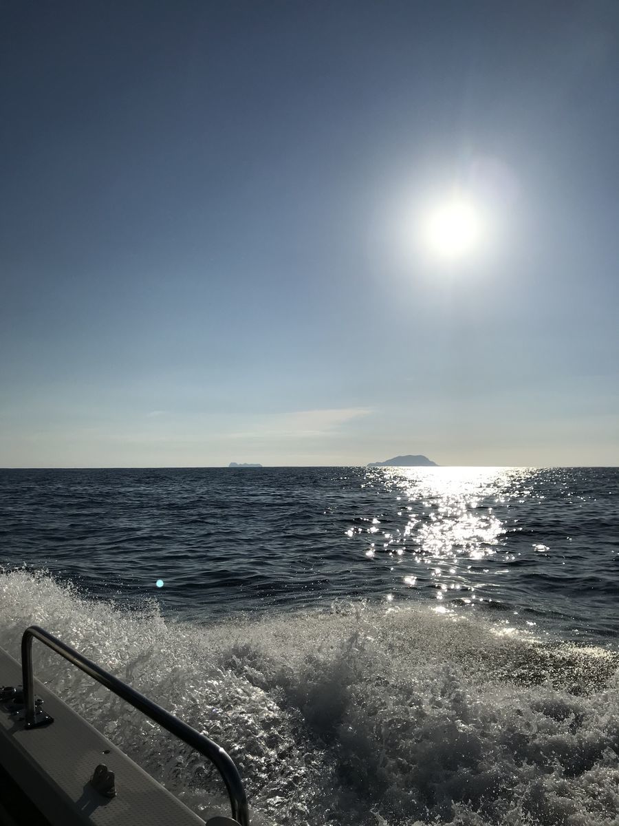 海風最高! 海風最高!