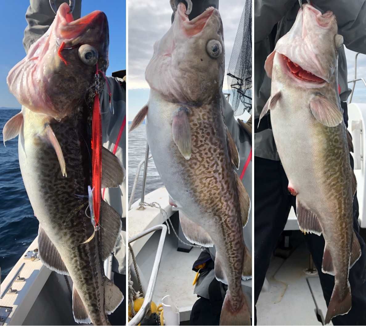 f:id:TypeB:20191114194827j:plain f:id:TypeB:20191114194827j:plain