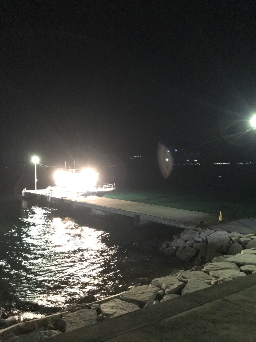 03 13 初ヤリイカ狙い イカメタル In 福井県 初ヤリイカ深夜便デビュー 釣果記録 釣活始めました
