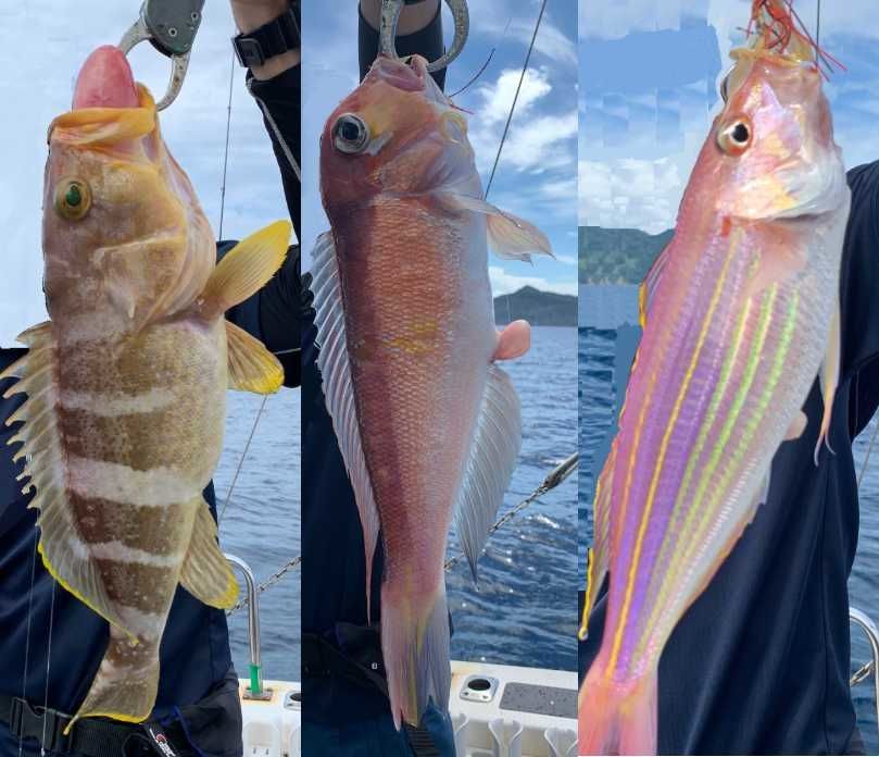 魚いろいろ 魚いろいろ