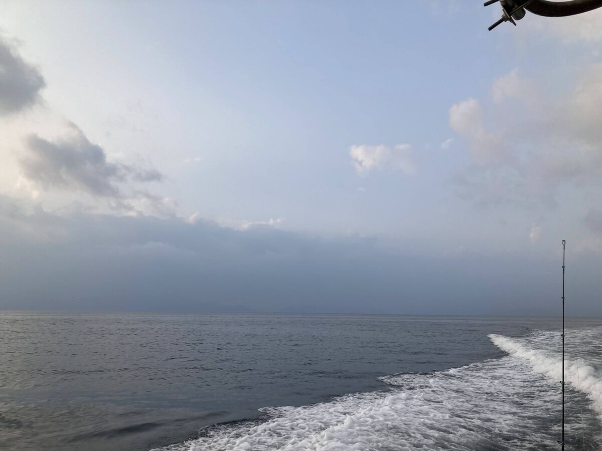 ブリ狙い ブリ狙い