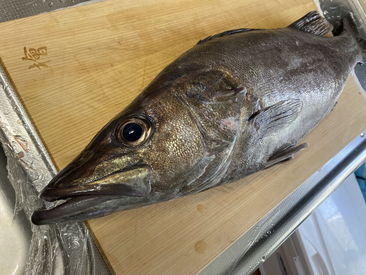 高級魚アラ