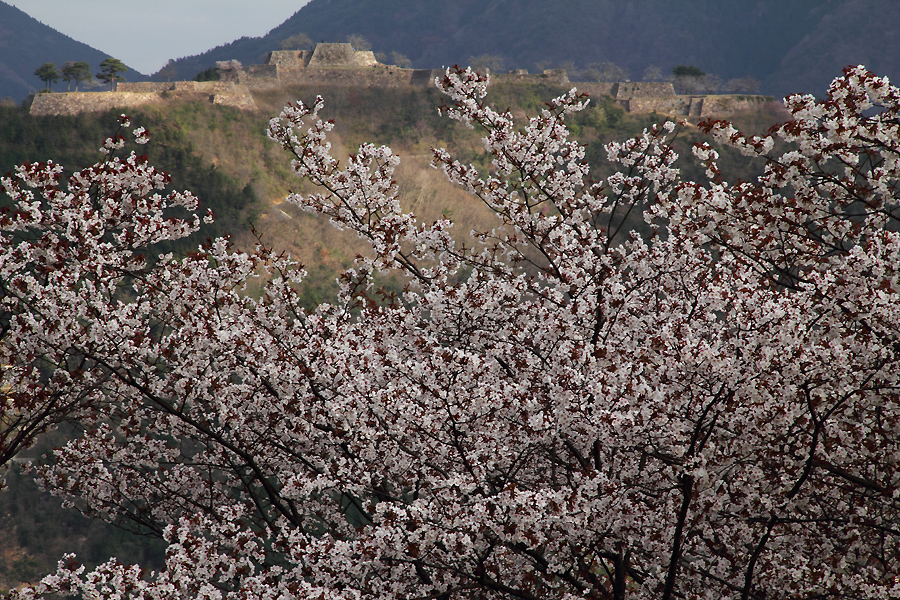 f:id:U-92SAN:20110418072533j:image