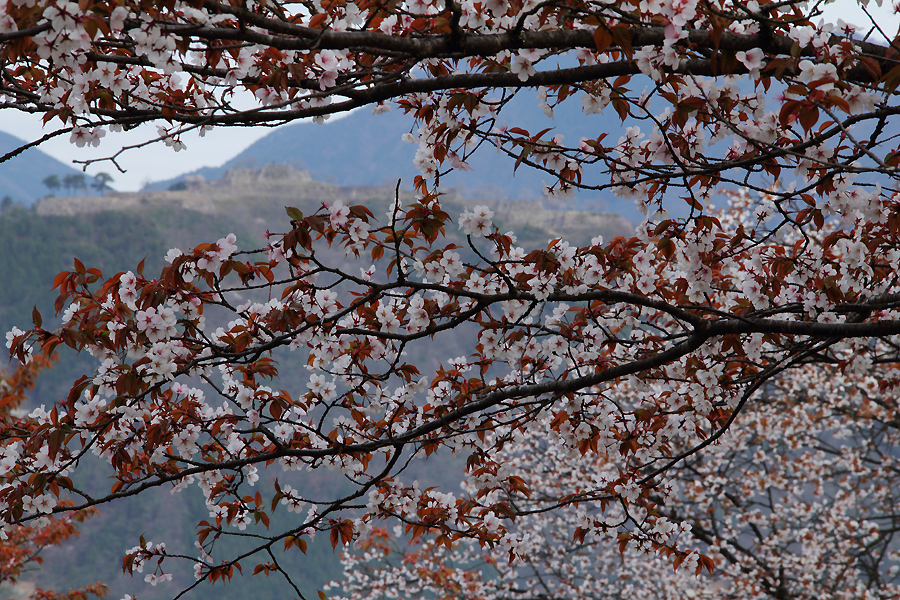 f:id:U-92SAN:20110418072534j:image
