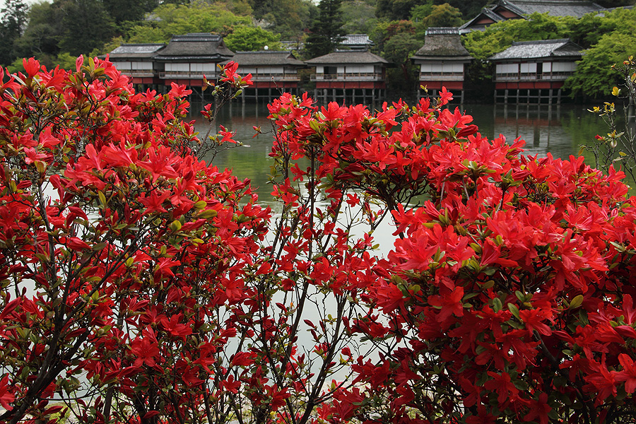 f:id:U-92SAN:20110426170038j:image