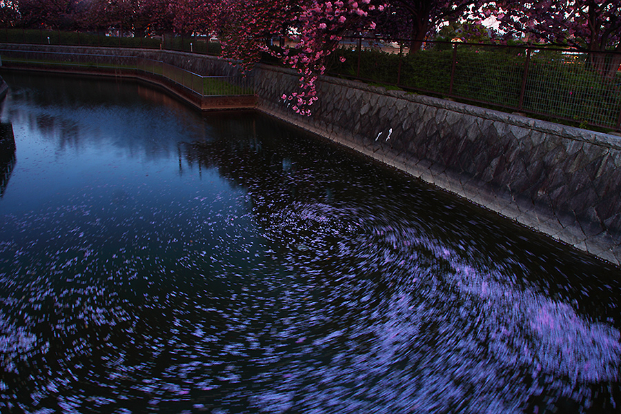 f:id:U-92SAN:20140423194555j:image