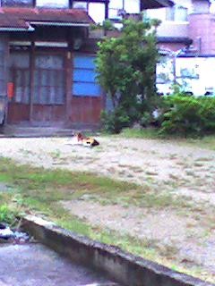 f:id:U40:20090710064446j:image