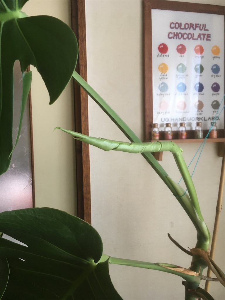 f:id:U4Q:20180221192941j:image