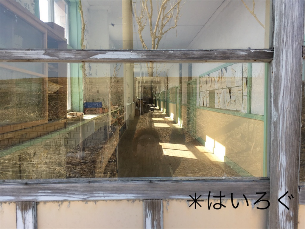f:id:U4Q:20180428213613j:image f:id:U4Q:20180428213613j:image