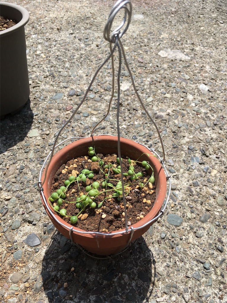 f:id:U4Q:20180515205905j:image