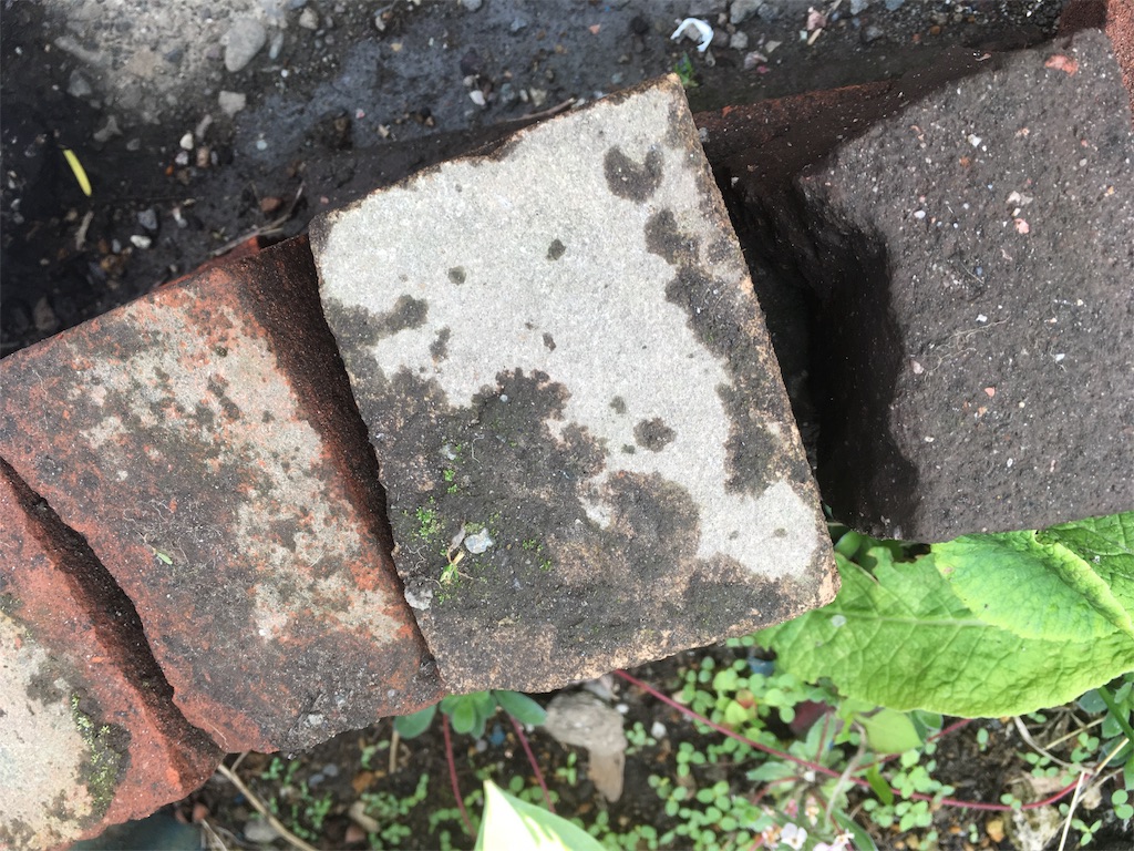 f:id:U4Q:20180616214107j:image