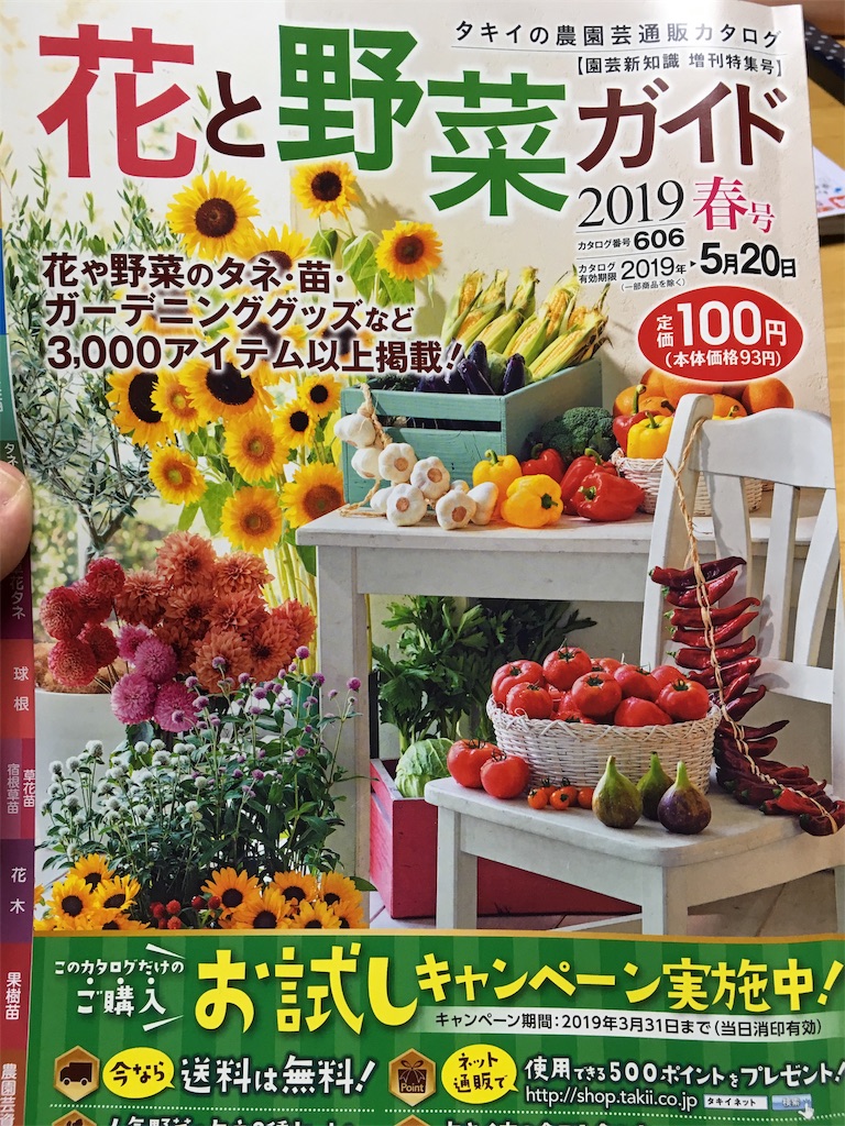 f:id:U4Q:20190310215913j:image