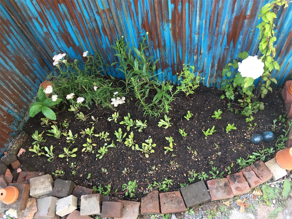 f:id:U4Q:20190626195043j:image