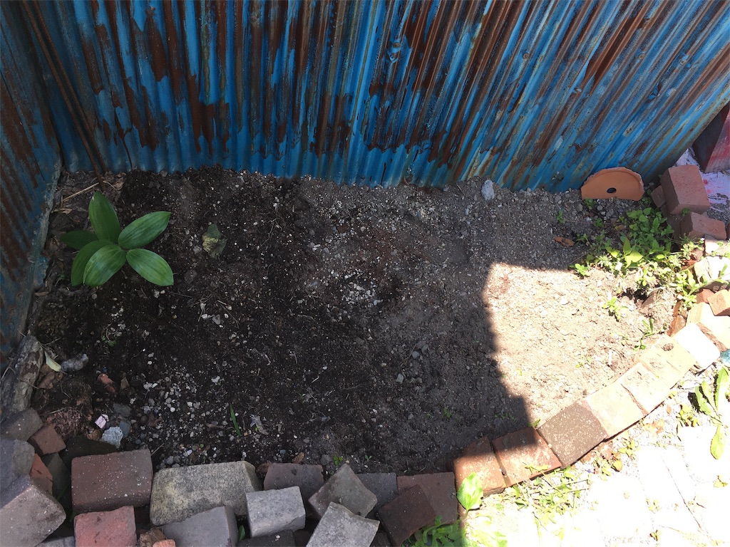 f:id:U4Q:20190626195048j:image