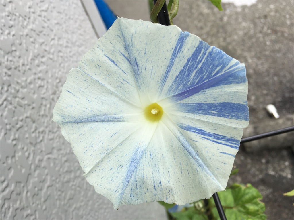 f:id:U4Q:20190809204630j:image