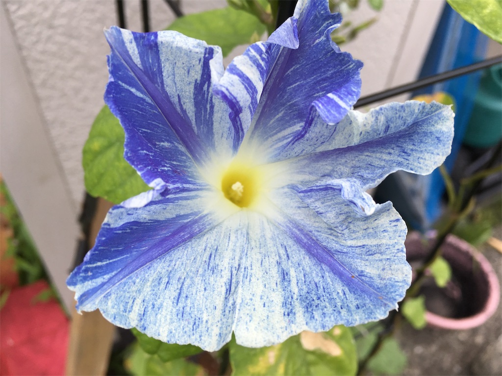 f:id:U4Q:20190809204643j:image