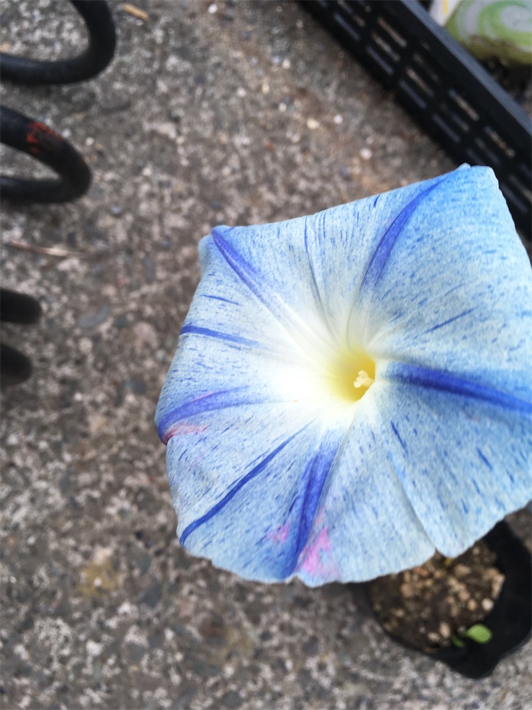 f:id:U4Q:20190809204655j:image