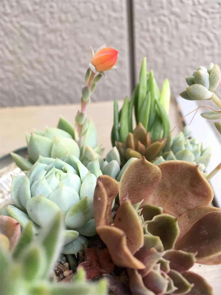 f:id:U4Q:20190816225245j:image