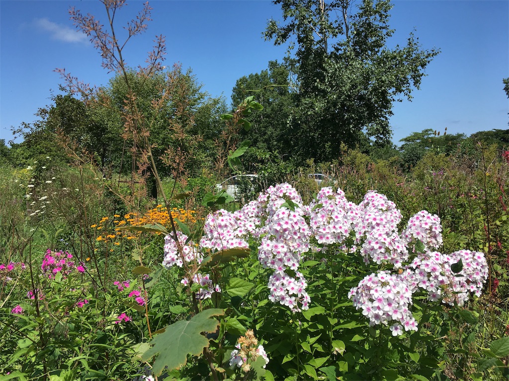 f:id:U4Q:20190818210740j:image f:id:U4Q:20190818210740j:image