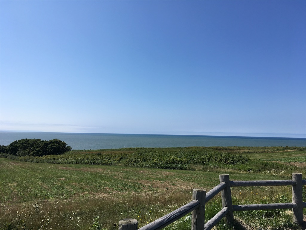 f:id:U4Q:20190818211759j:image f:id:U4Q:20190818211759j:image