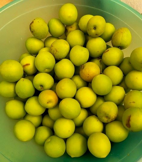 f:id:UB610:20200514151543j:plain f:id:UB610:20200514151543j:plain