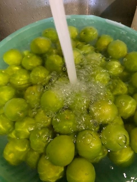 f:id:UB610:20200514151553j:plain f:id:UB610:20200514151553j:plain