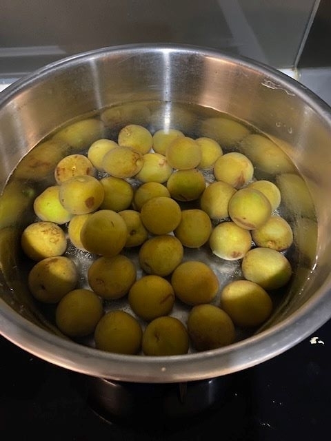 f:id:UB610:20200514151609j:plain f:id:UB610:20200514151609j:plain