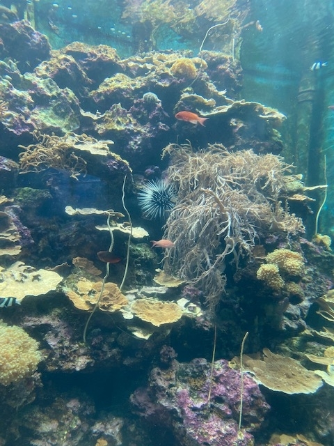 f:id:UB610:20200902162600j:plain f:id:UB610:20200902162600j:plain