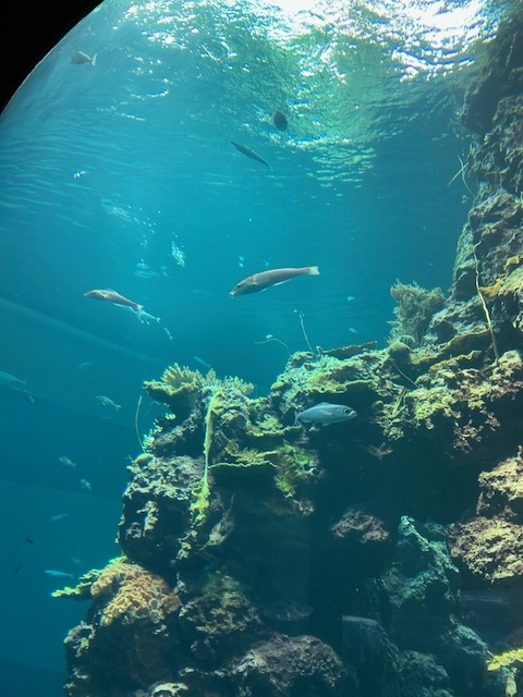 f:id:UB610:20200902162617j:plain f:id:UB610:20200902162617j:plain