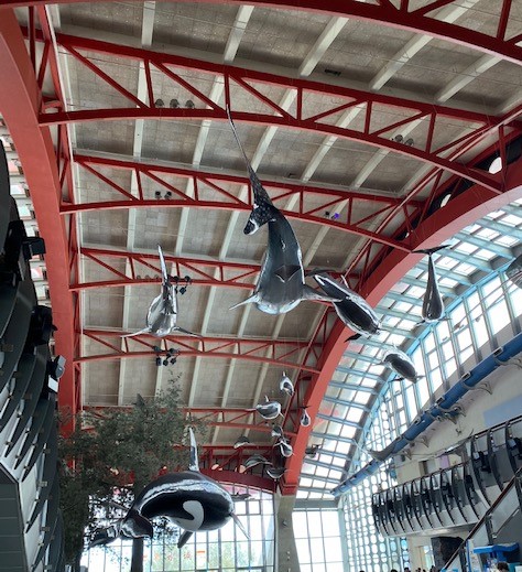 f:id:UB610:20200902162632j:plain f:id:UB610:20200902162632j:plain