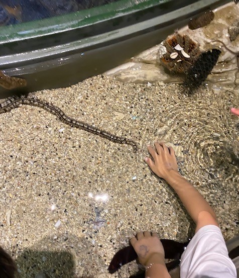 f:id:UB610:20200902162704j:plain f:id:UB610:20200902162704j:plain