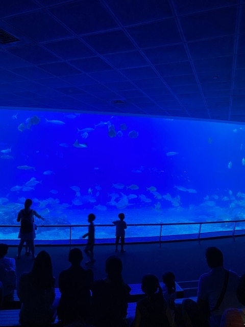 f:id:UB610:20200902162727j:plain f:id:UB610:20200902162727j:plain