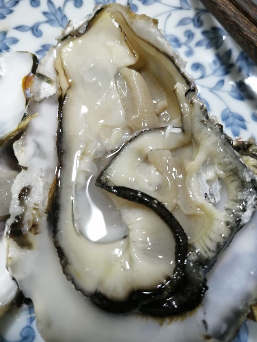 f:id:UDONCHAN:20211205212034j:plain