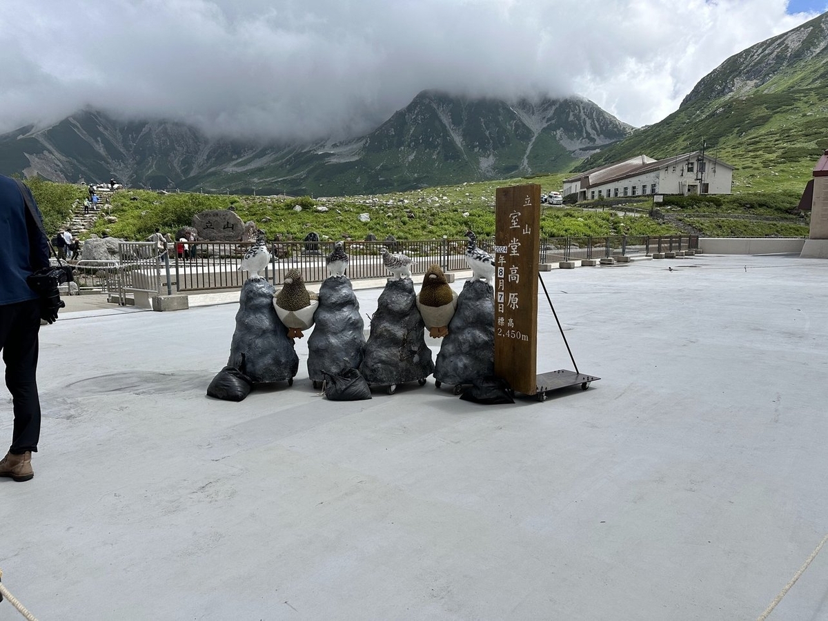 写真中央やや右に「立山 室堂高原 標高2450m 2024年8月7日」と縦書きで書かれた看板。左には台車付きの岩のオブジェが4つあり、それぞれ上に鳥の置物が乗っている。奥には山が見え、写真左に奥へと続く道が見える。道の手前に「立山」と書かれた石の看板がある。