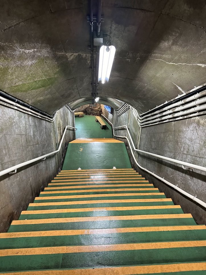 下りの階段。屋根は苔が生えている。写真奥にベンチのある踊り場が見える