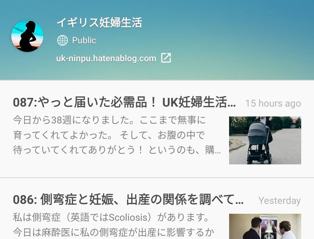 f:id:UK_Ninpu:20210116024733j:plain