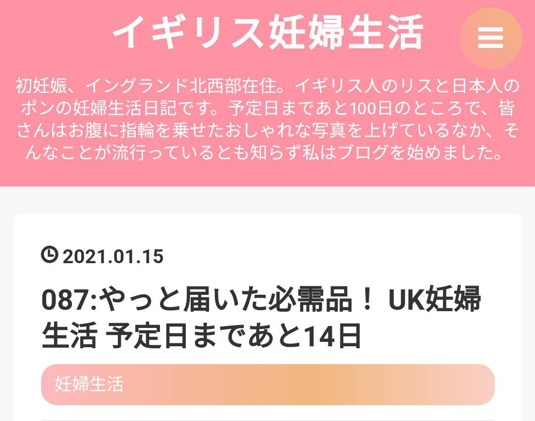 f:id:UK_Ninpu:20210116025005j:plain