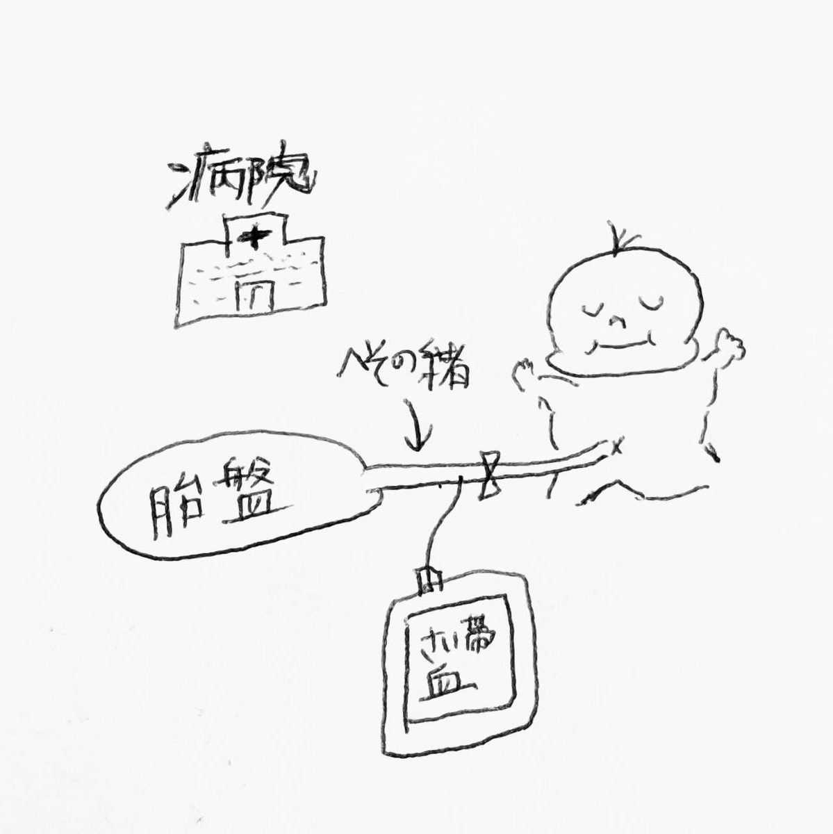 f:id:UK_Ninpu:20210126083520j:plain