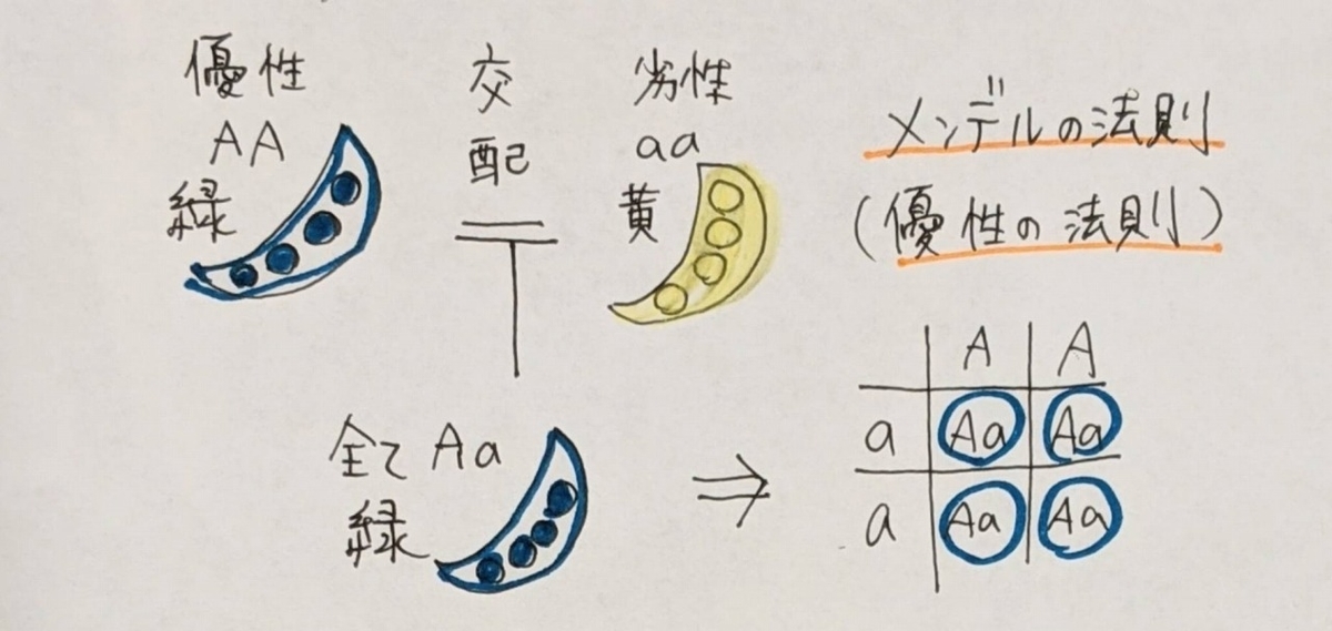 f:id:UK_Ninpu:20210128062824j:plain