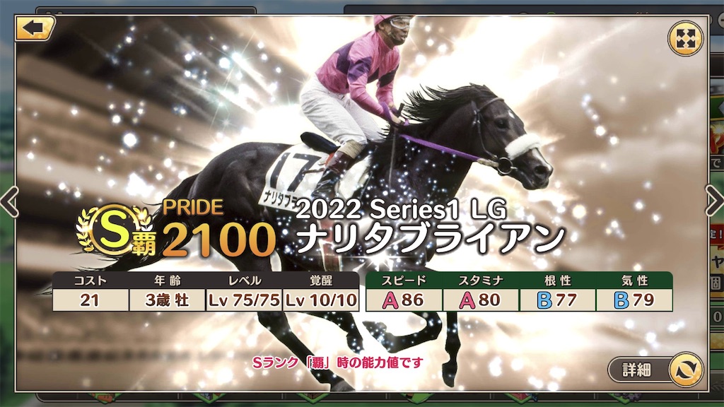 美中古DVD】三冠馬ナリタブライアン 競馬 勝負を決めた第3