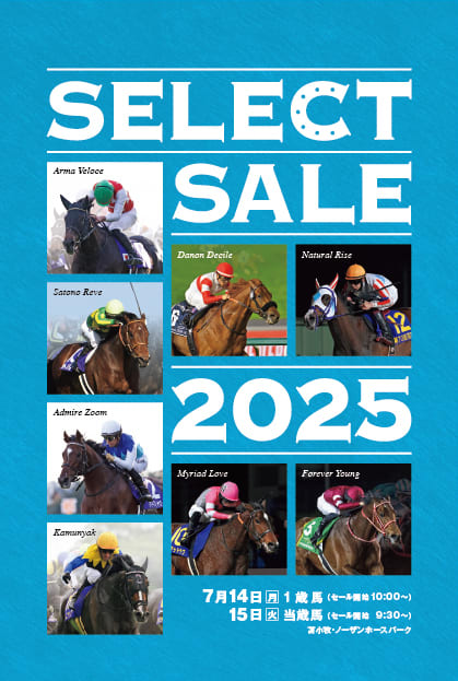 競馬　馬　５体セット セレクトセール2025(Select Sale､第1日目､1歳)】～結果概要(驚異の
