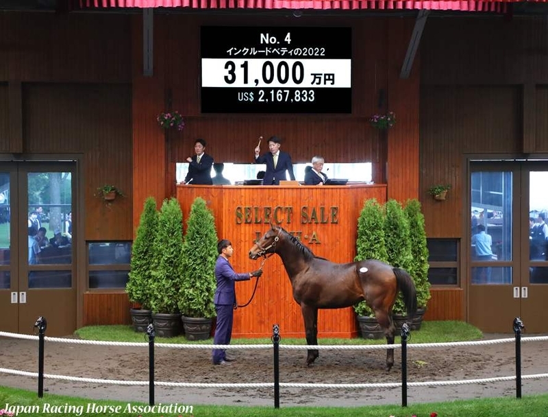 JRA競走に勝ったセール出身馬紹介(2026/1/31-2/1､19頭) - 馬市ドット