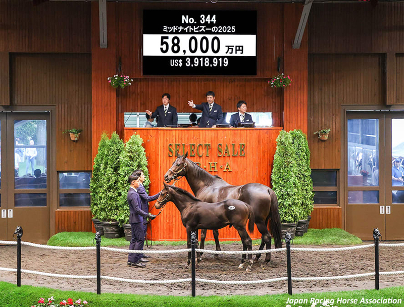 セレクトセール2026(Select Sale)】の「市場ポスター」が公開 - 馬市