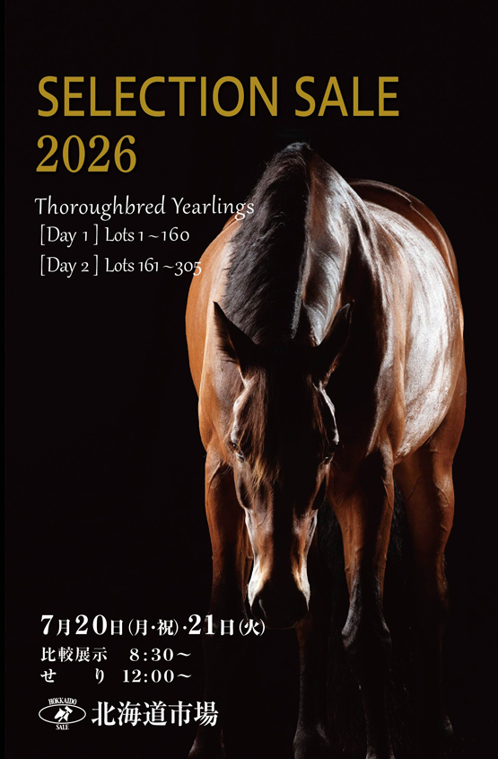 セレクションセール2026(Selection Sale)】の「上場馬写真(1歳馬305頭